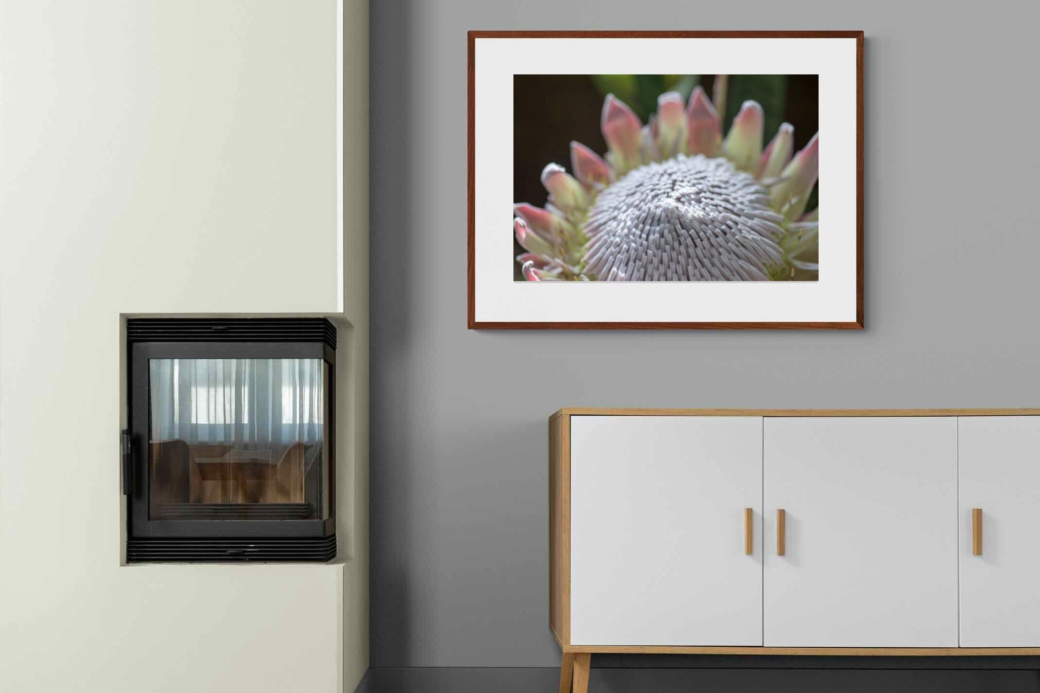 Pixalot ® Protea Bloom