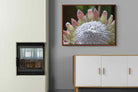Pixalot ® Protea Bloom