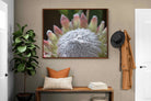 Pixalot ® Protea Bloom