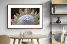 Pixalot ® Protea Bloom