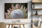 Pixalot ® Protea Bloom