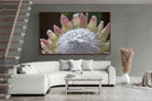 Pixalot ® Protea Bloom