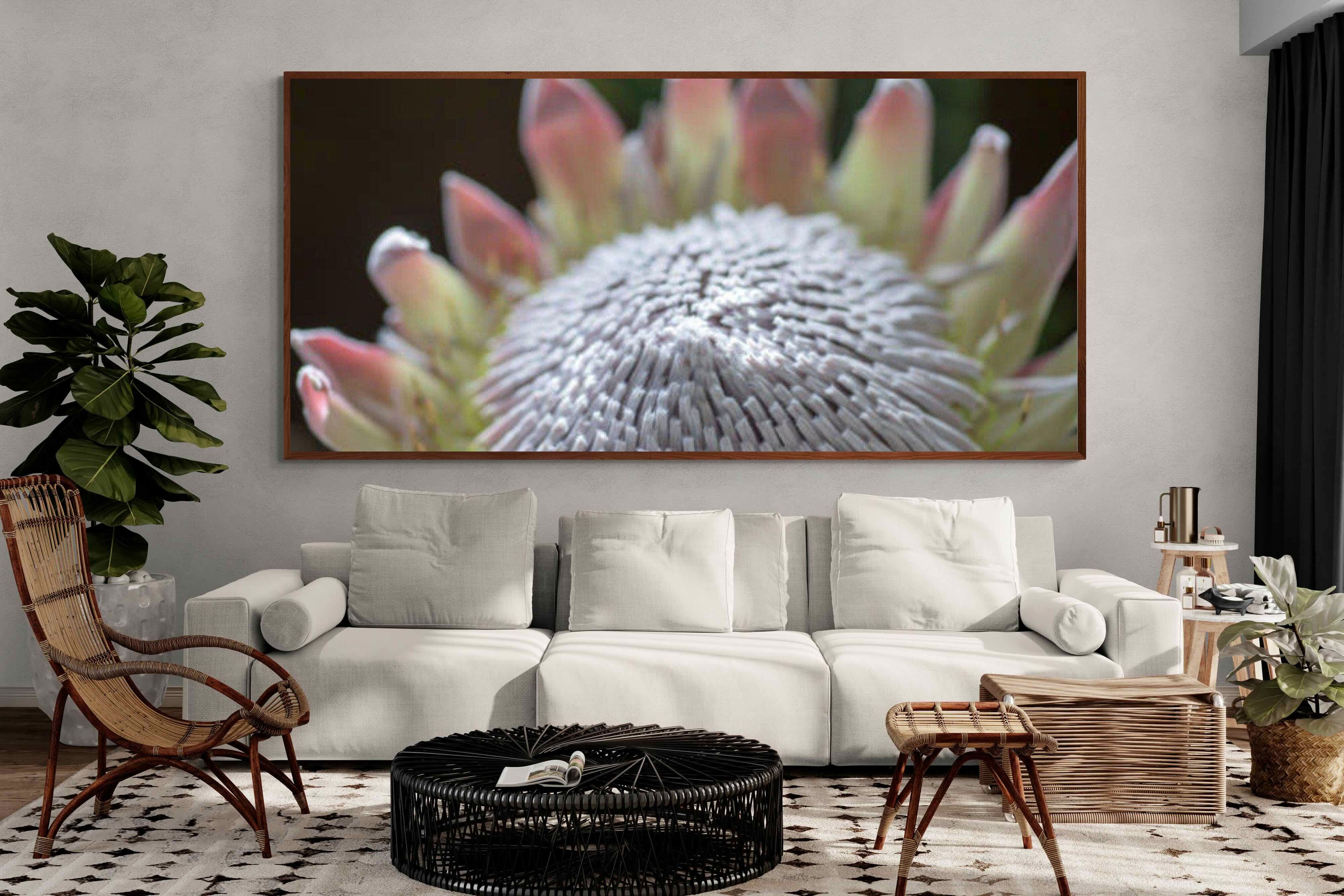 Pixalot ® Protea Bloom