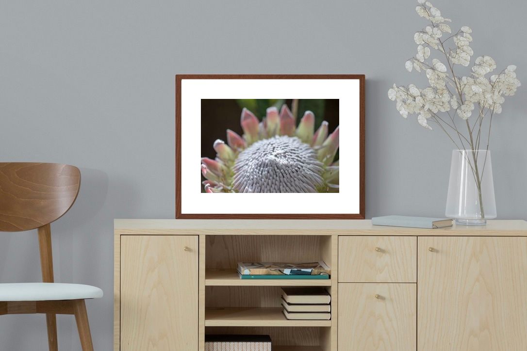 Pixalot ® Protea Bloom