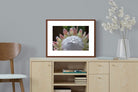 Pixalot ® Protea Bloom