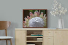 Pixalot ® Protea Bloom