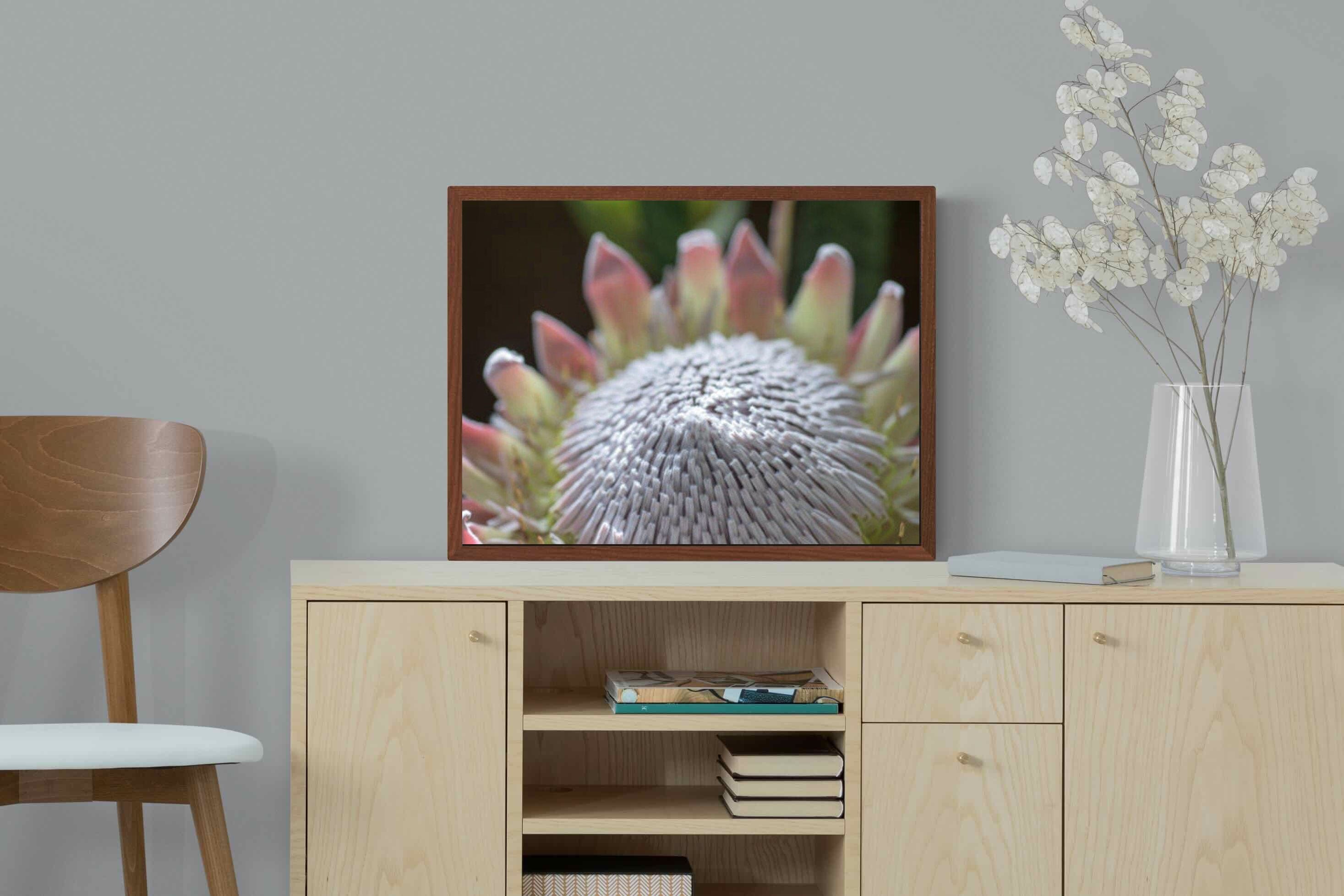 Pixalot ® Protea Bloom