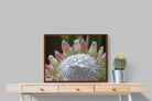 Pixalot ® Protea Bloom