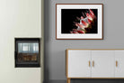 Pixalot ® Protea