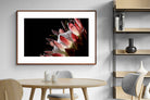 Pixalot ® Protea