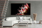 Pixalot ® Protea