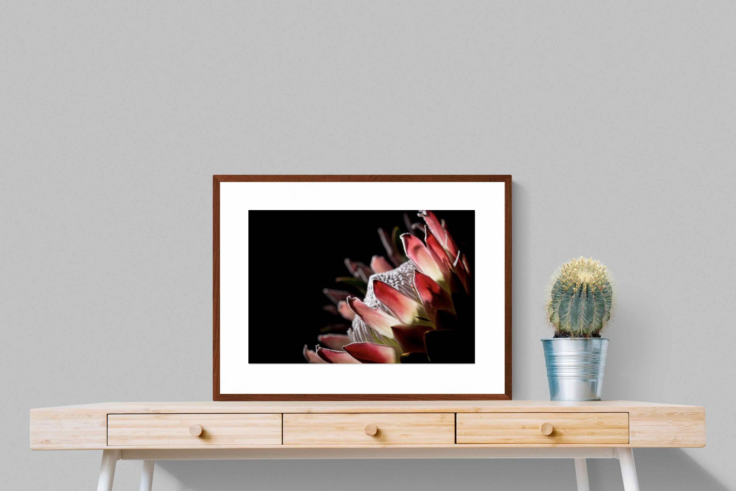Pixalot ® Protea