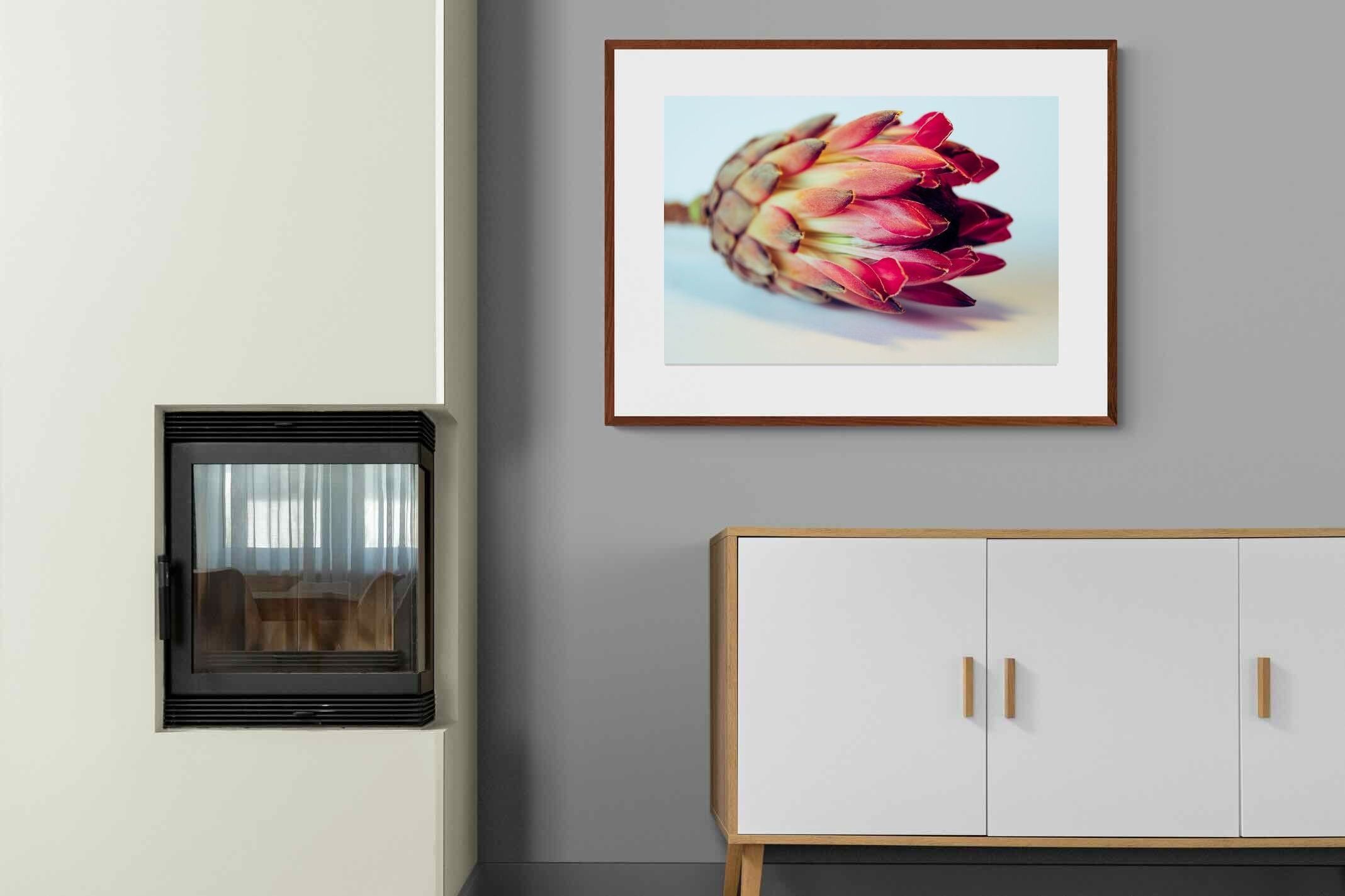 Pixalot ® Protea Still Life