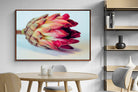 Pixalot ® Protea Still Life