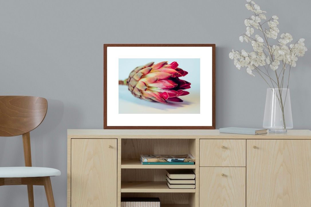 Pixalot ® Protea Still Life