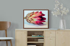 Pixalot ® Protea Still Life