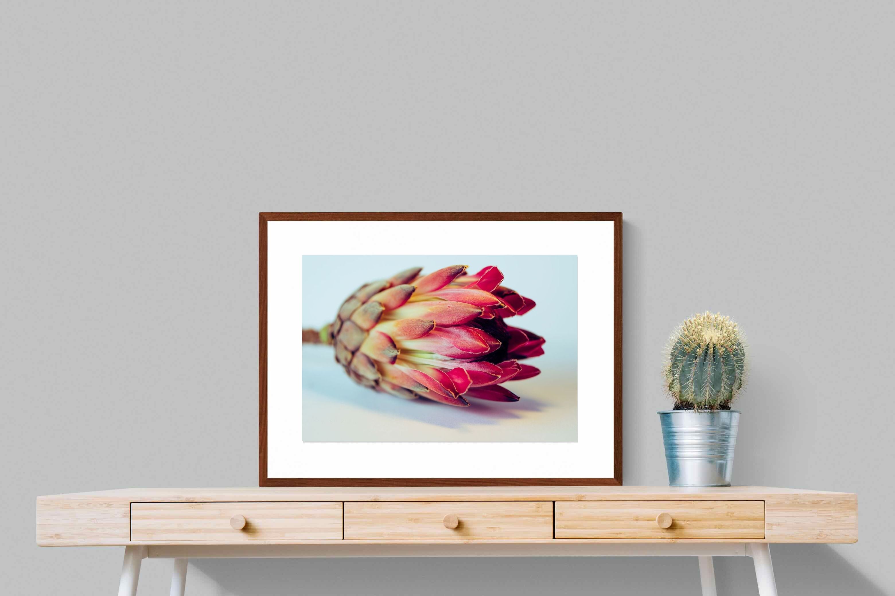 Pixalot ® Protea Still Life