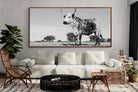 Pixalot ® Proud Nguni