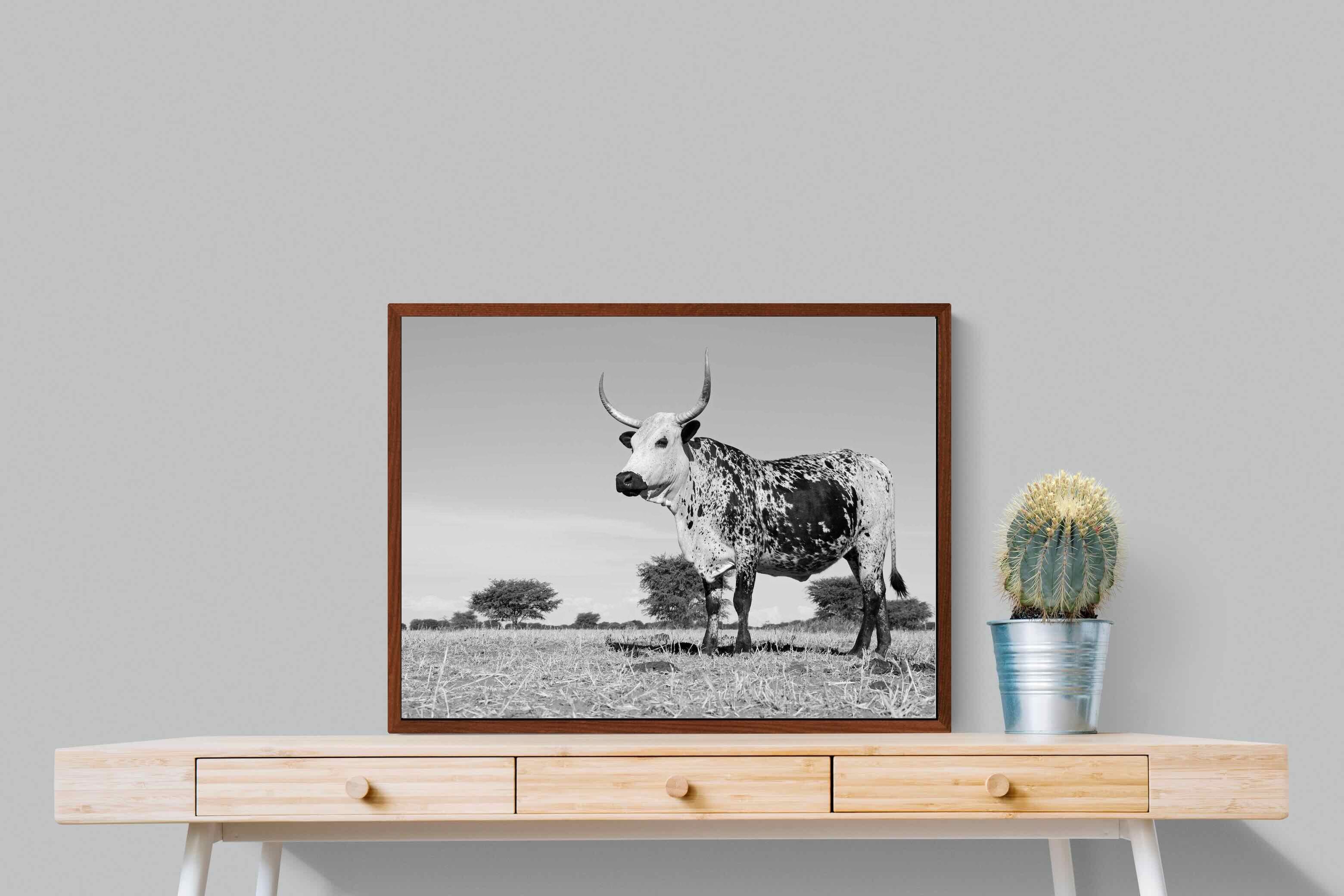 Pixalot ® Proud Nguni