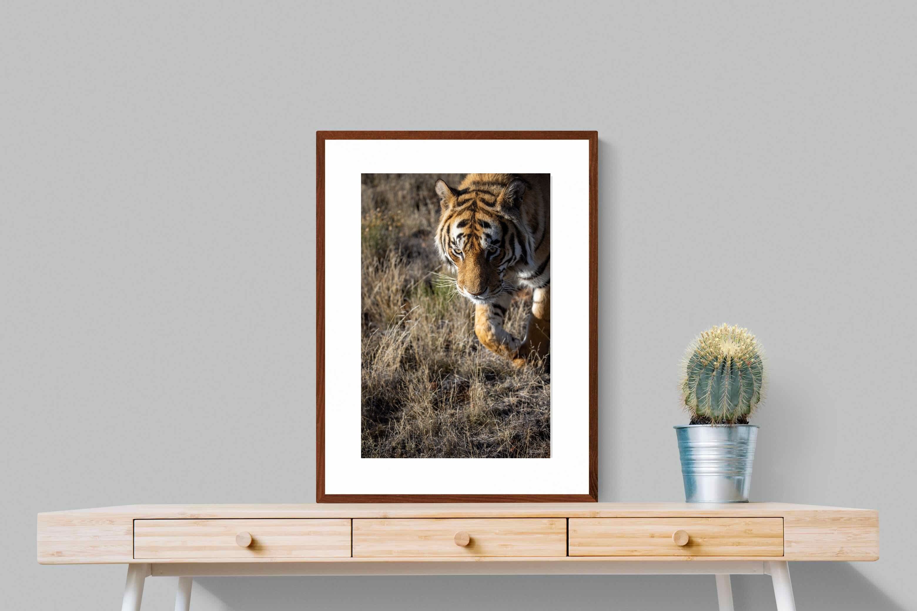 Pixalot Prowling Tiger