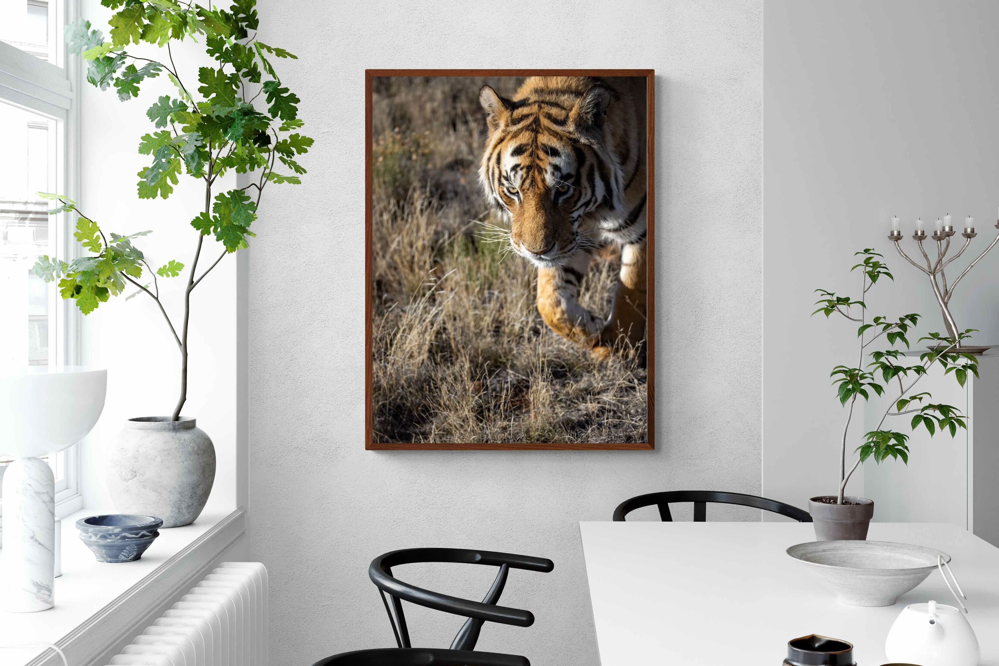 Pixalot Prowling Tiger