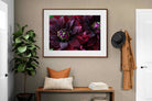 Pixalot ® Purple Petals