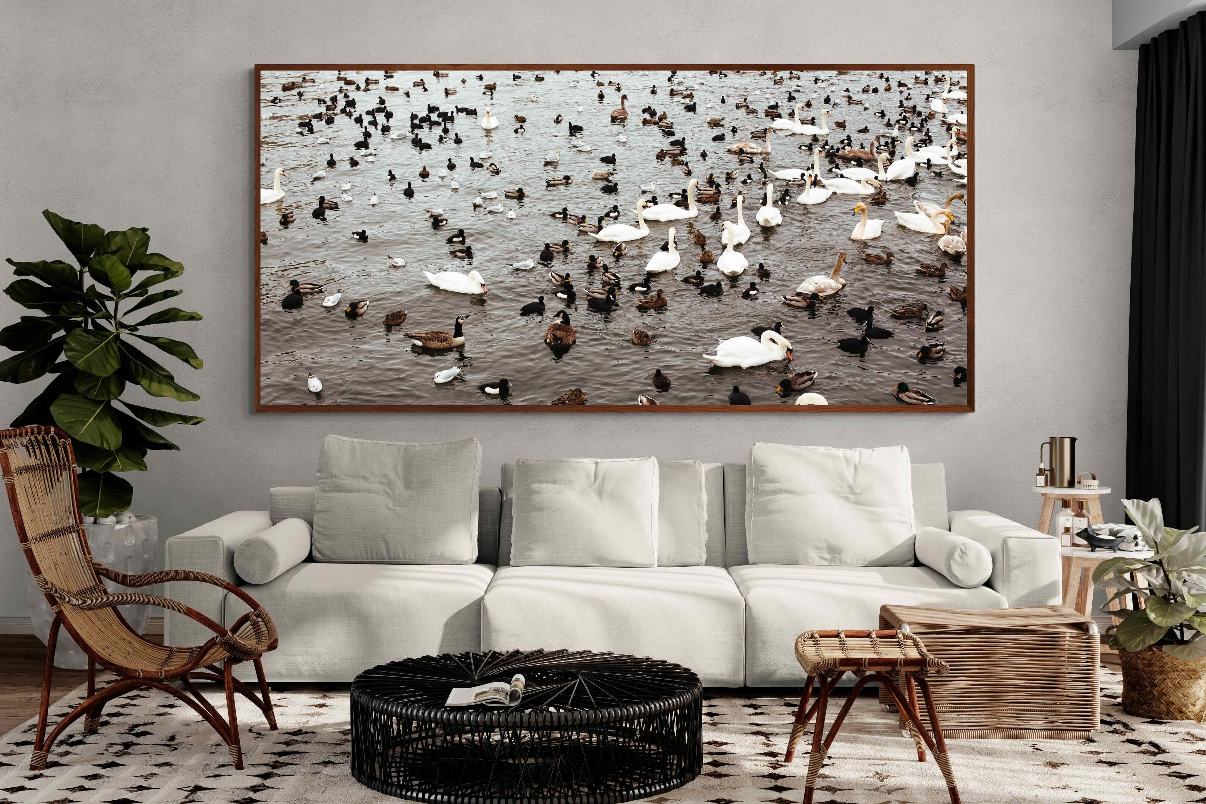 Pixalot ® Quack
