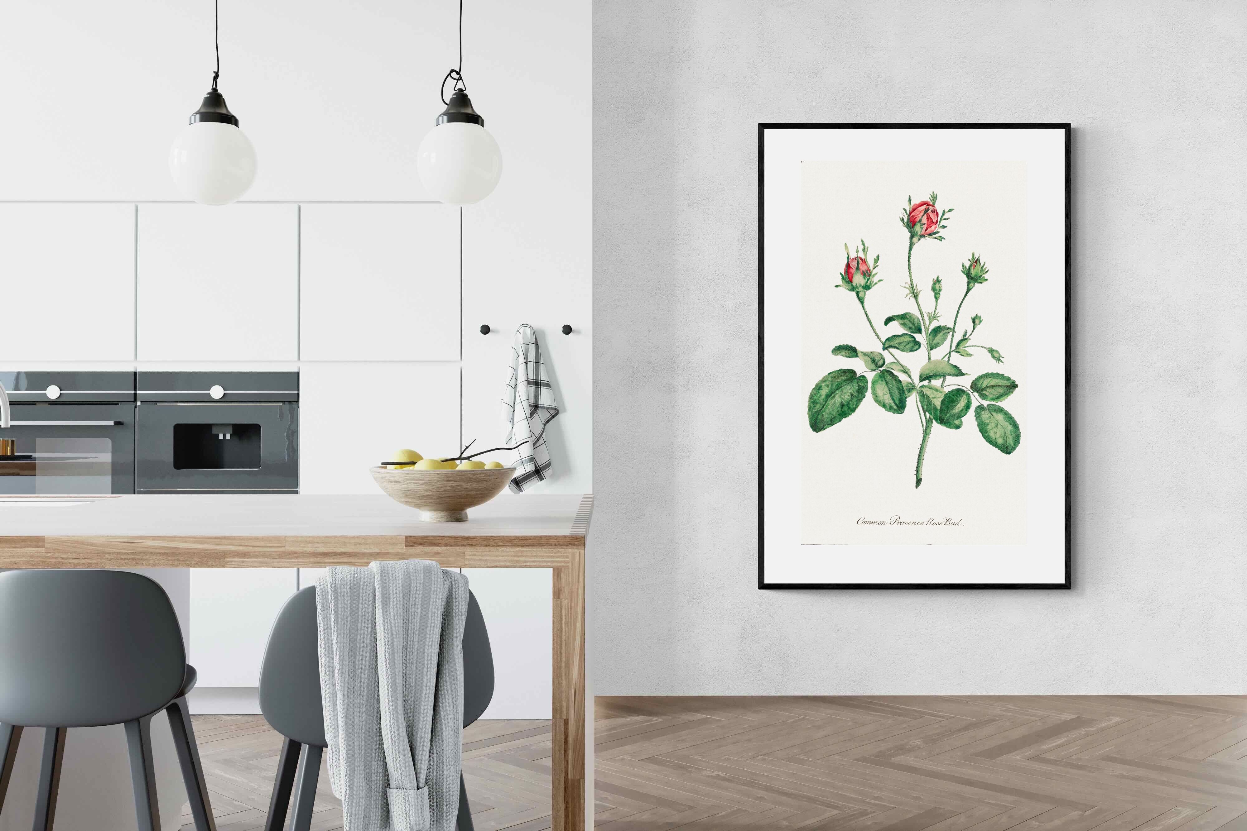 Pixalot Quiet Provence