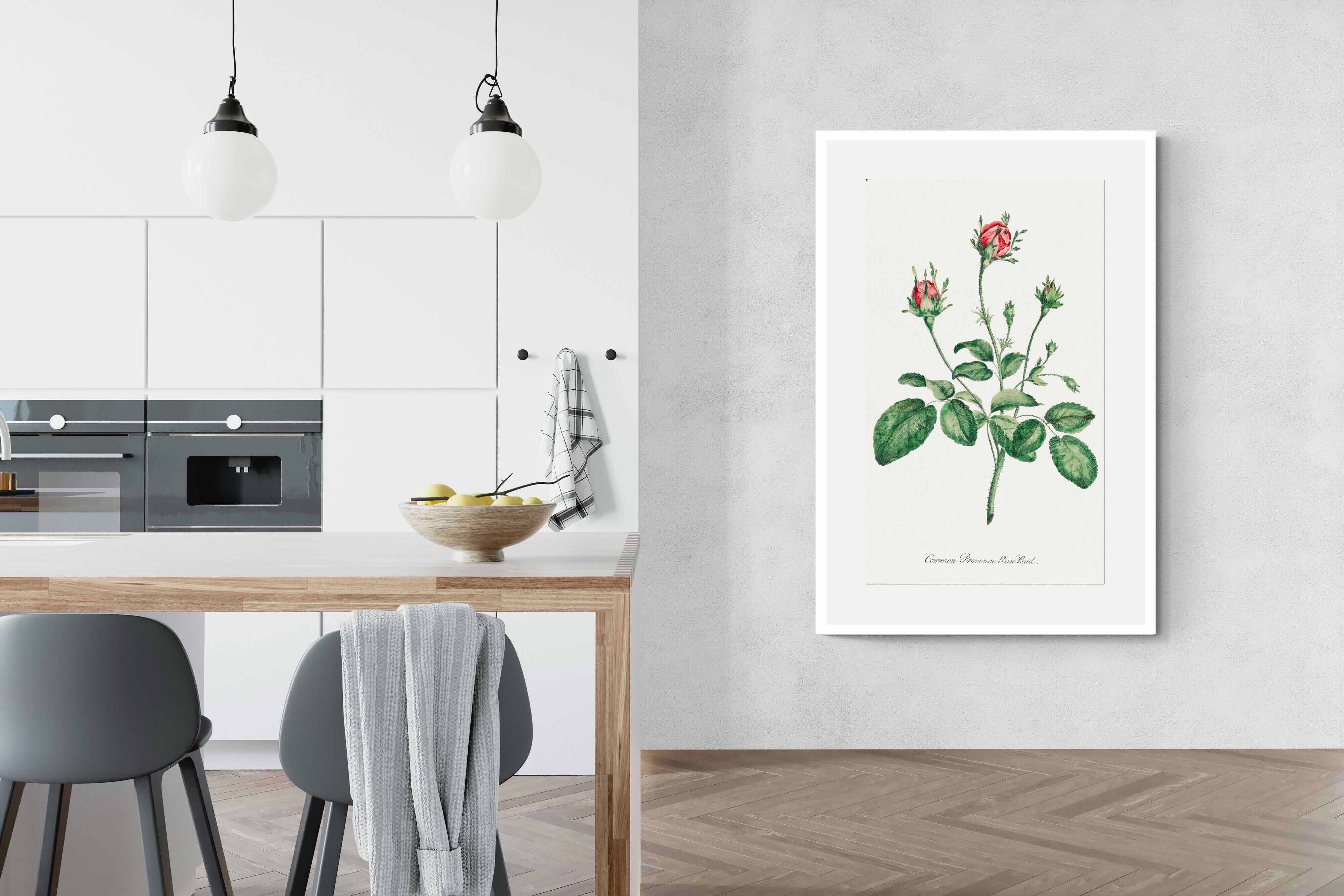 Pixalot Quiet Provence