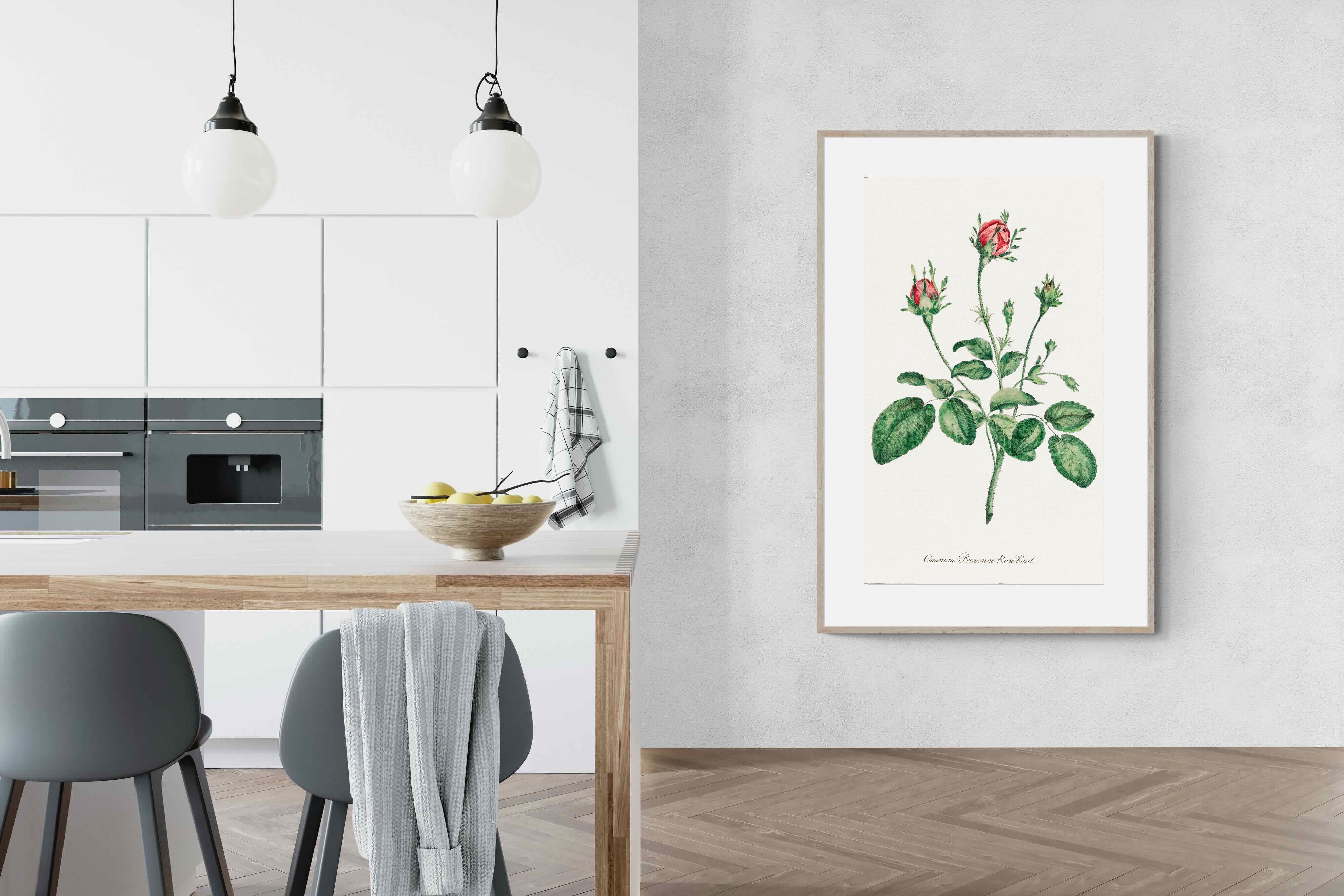 Pixalot Quiet Provence