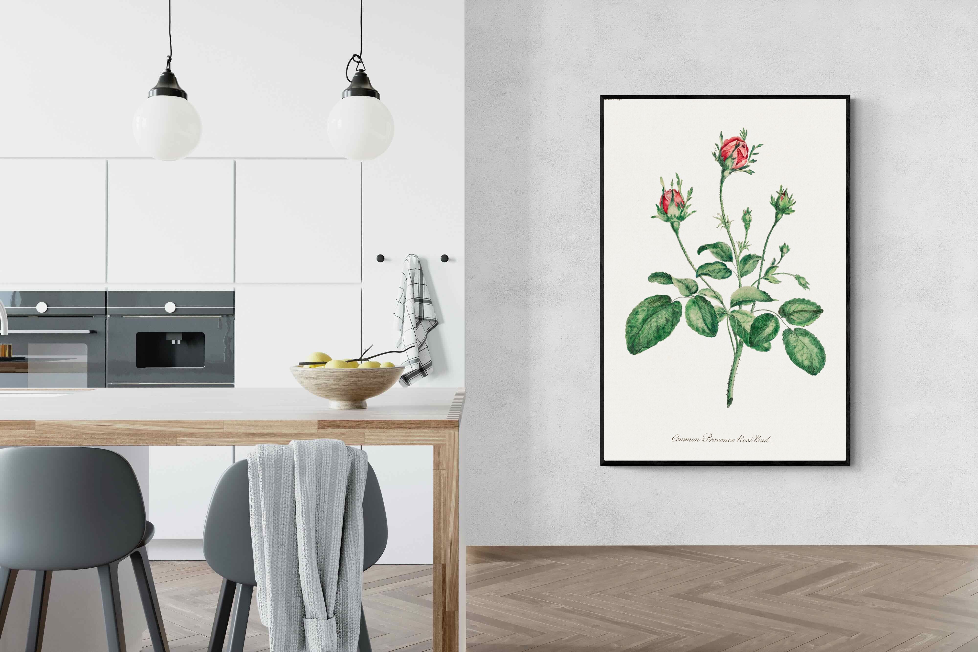 Pixalot Quiet Provence