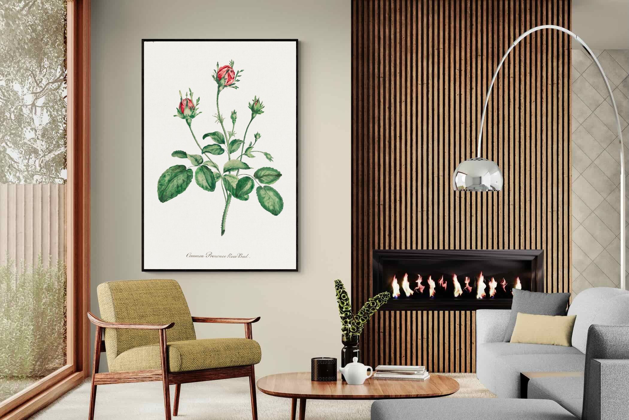 Pixalot Quiet Provence