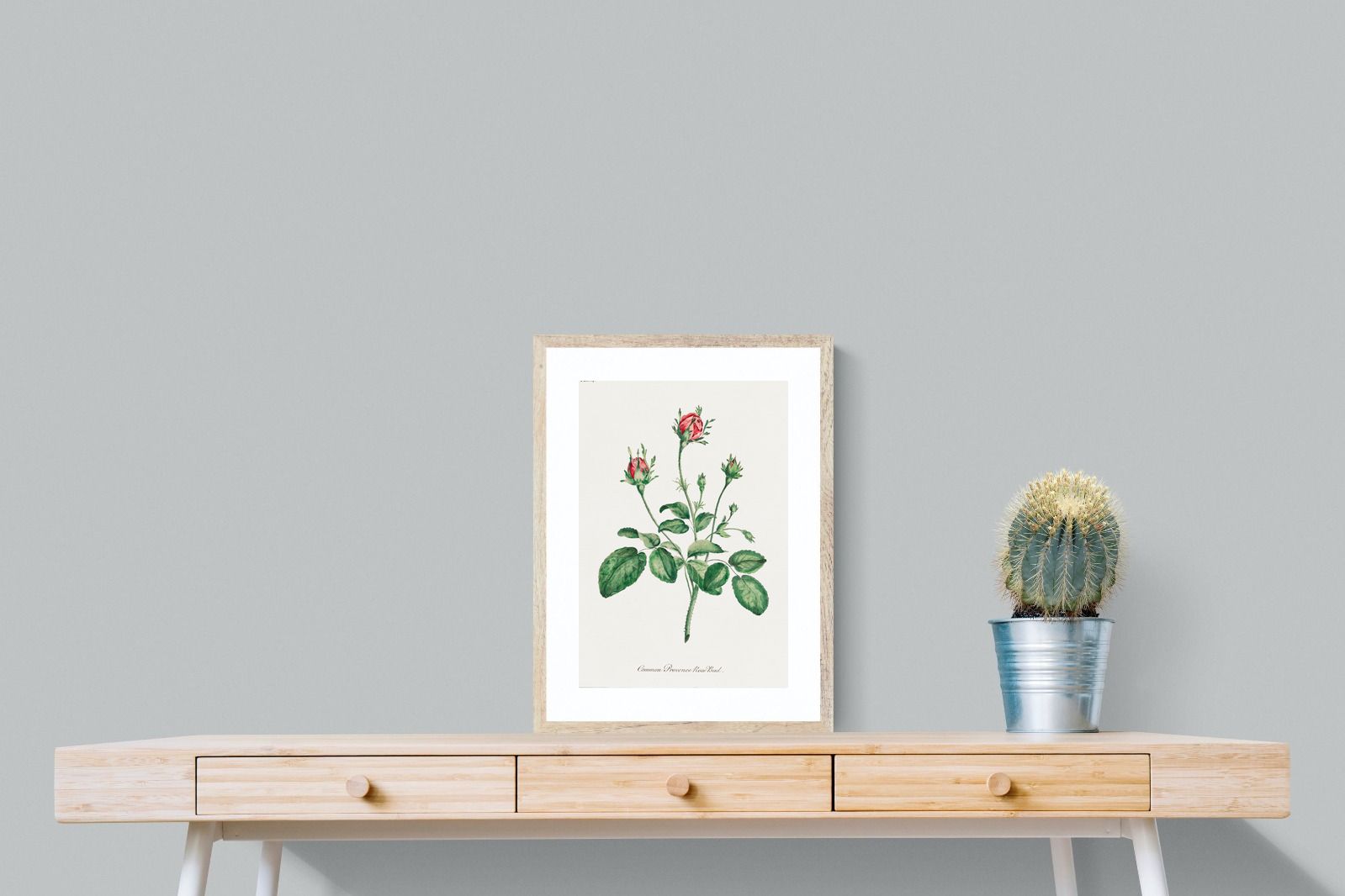 Pixalot Quiet Provence