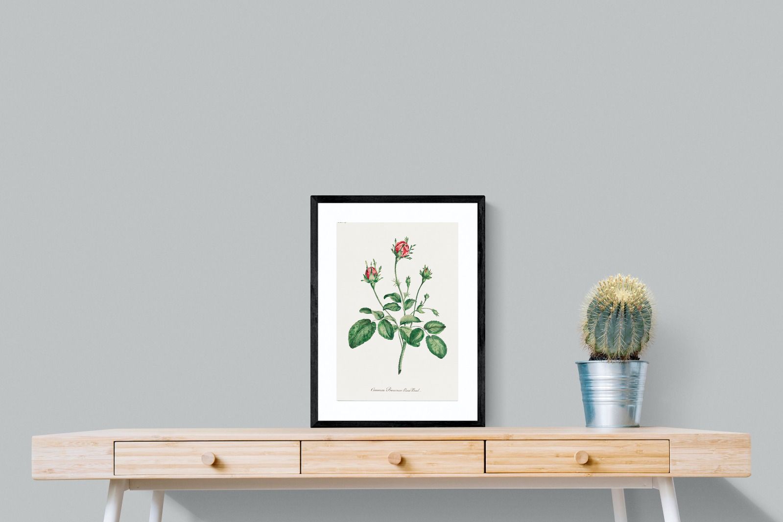 Pixalot Quiet Provence