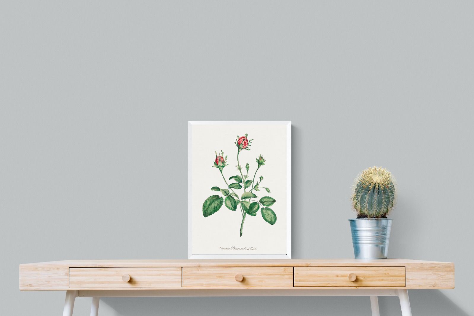 Pixalot Quiet Provence