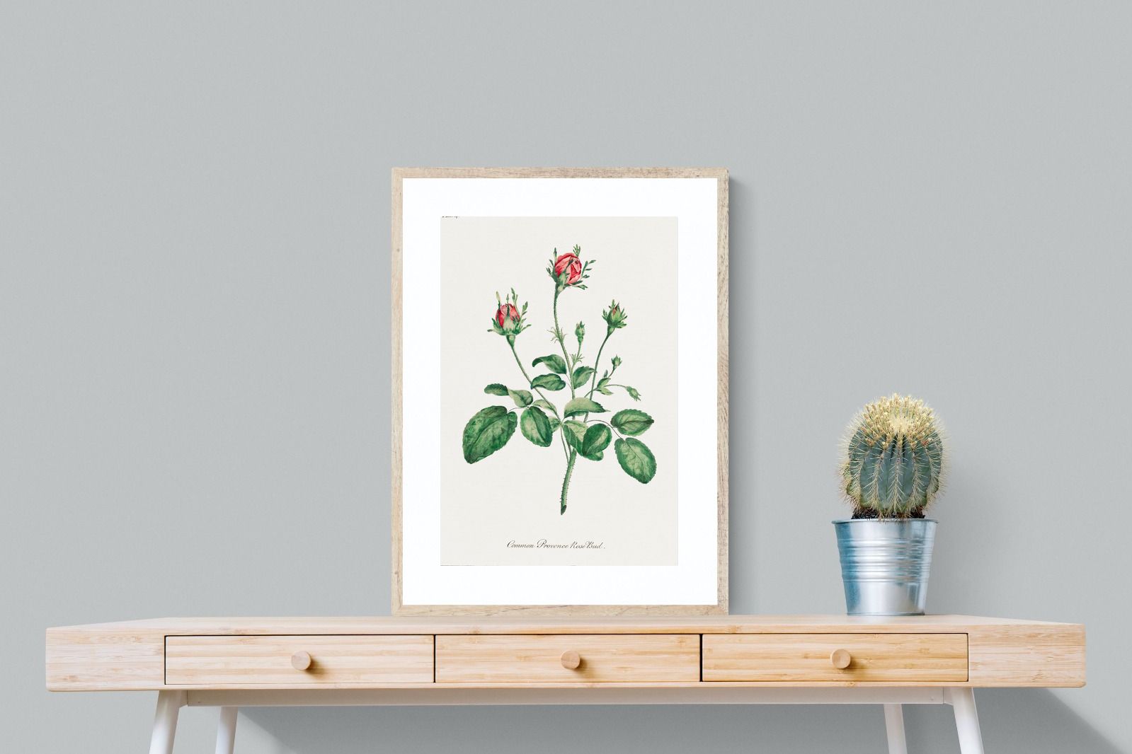 Pixalot Quiet Provence