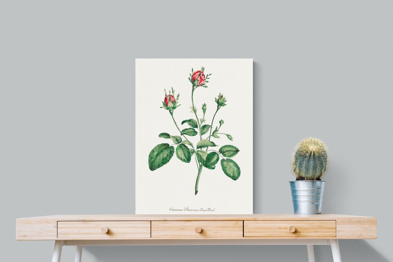 Pixalot Quiet Provence