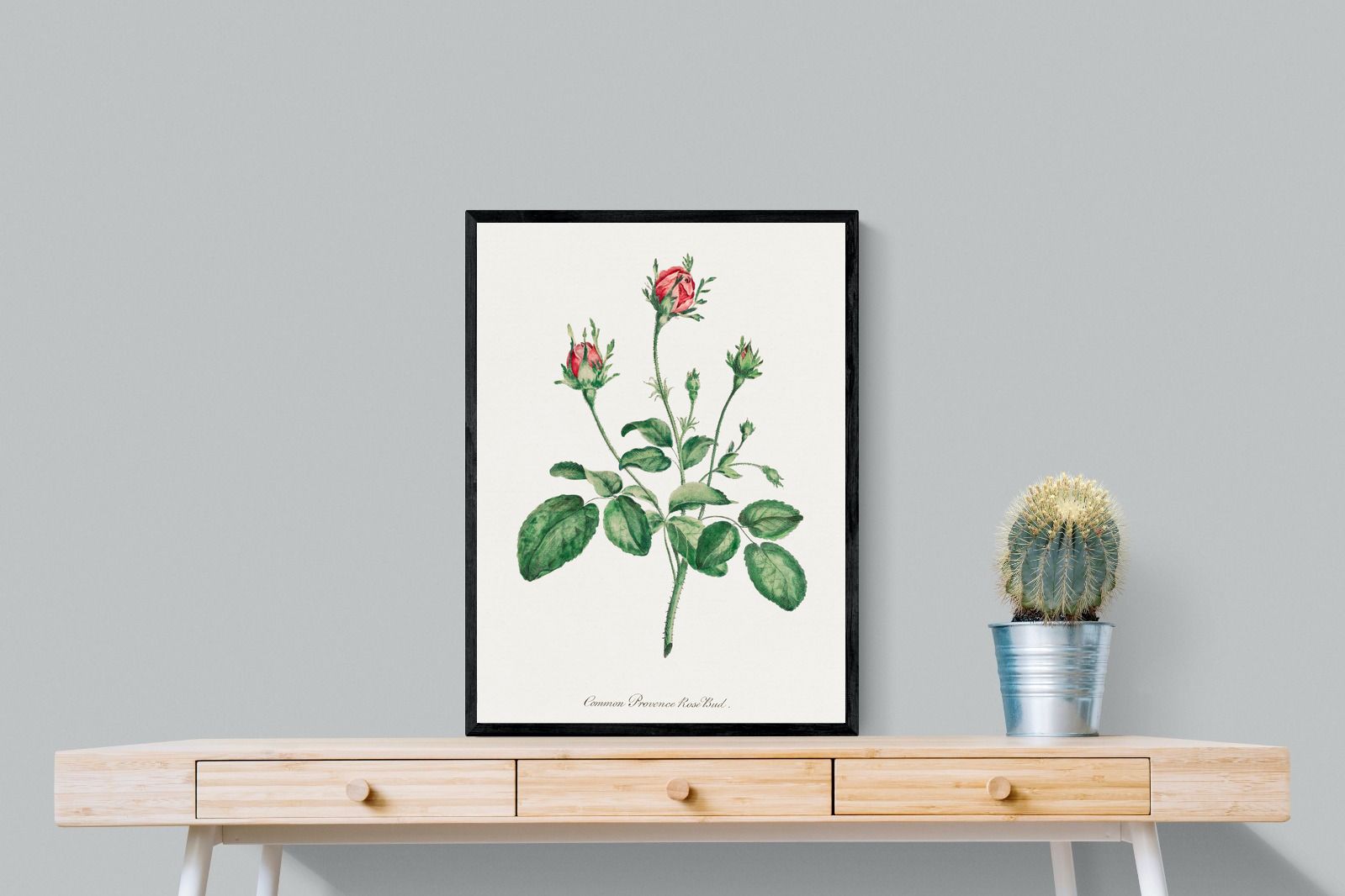 Pixalot Quiet Provence