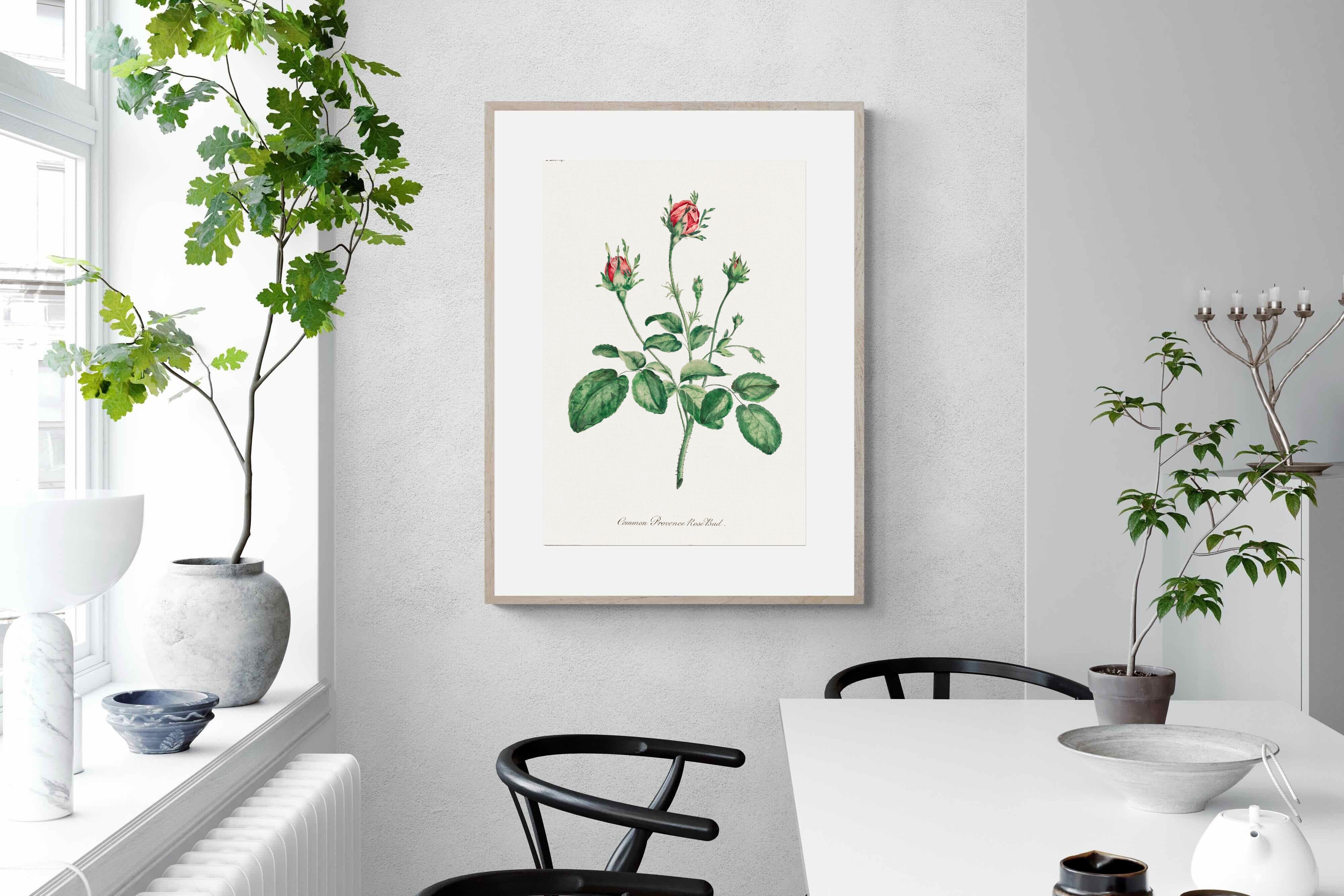 Pixalot Quiet Provence