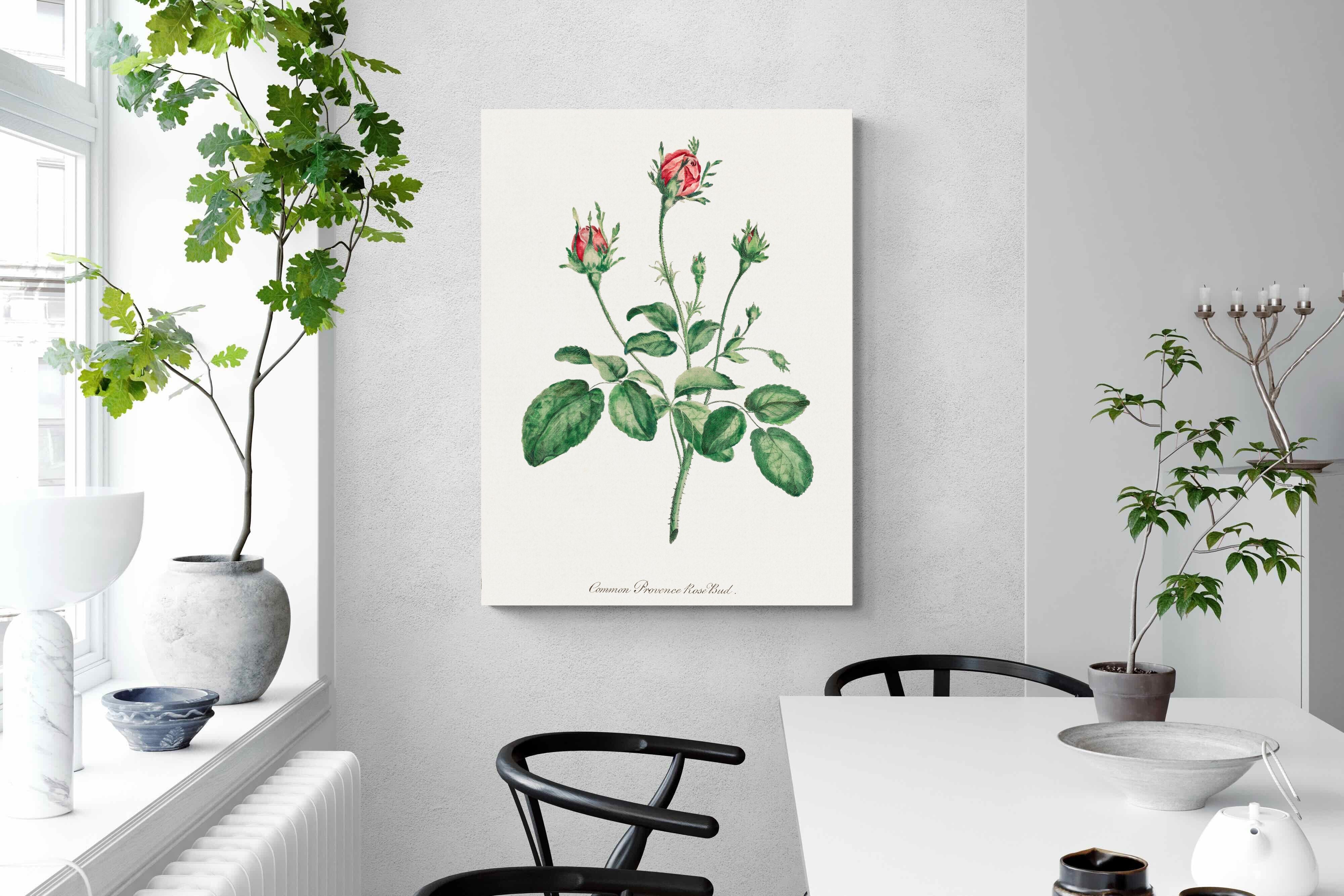 Pixalot Quiet Provence