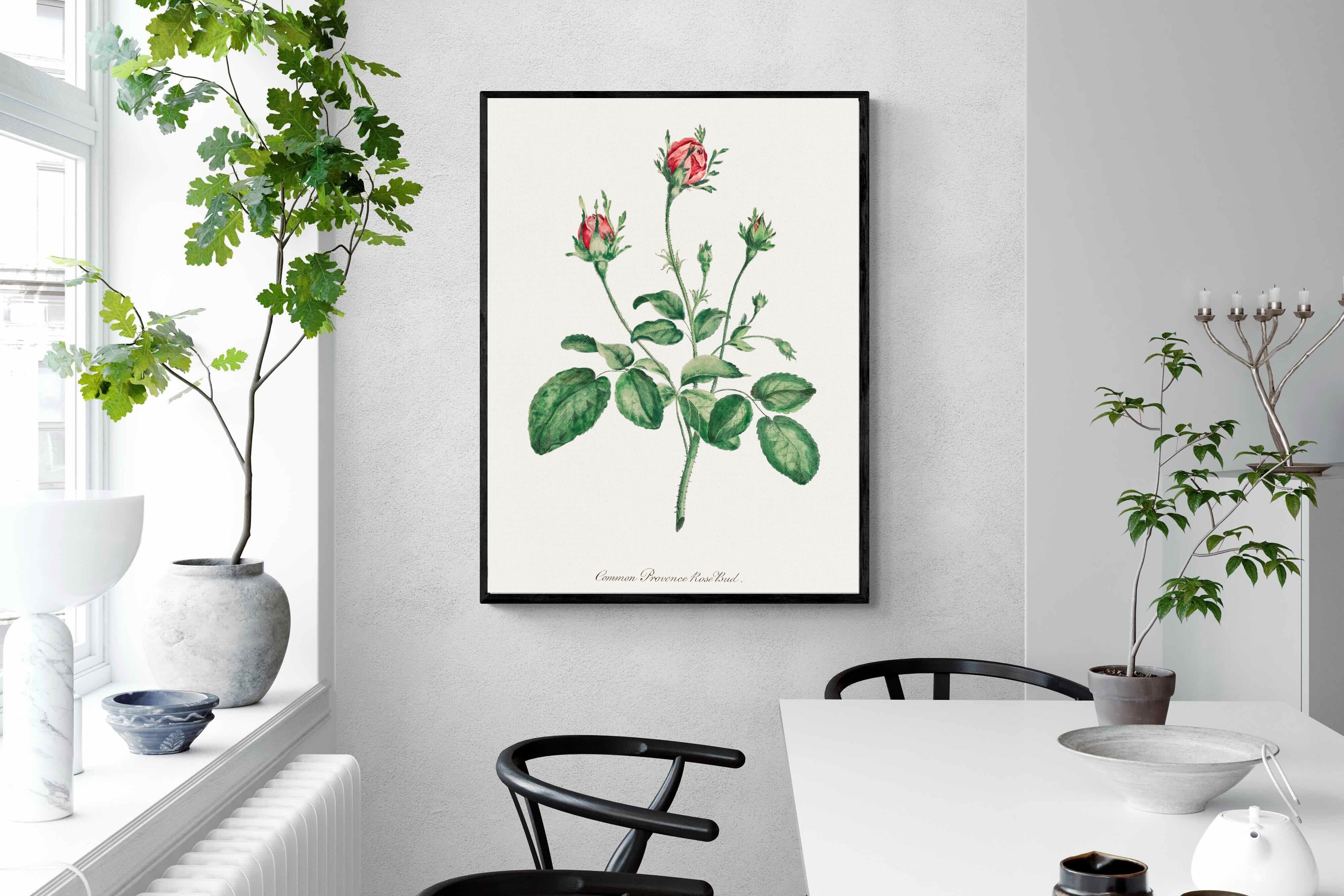 Pixalot Quiet Provence