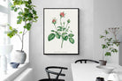 Pixalot Quiet Provence