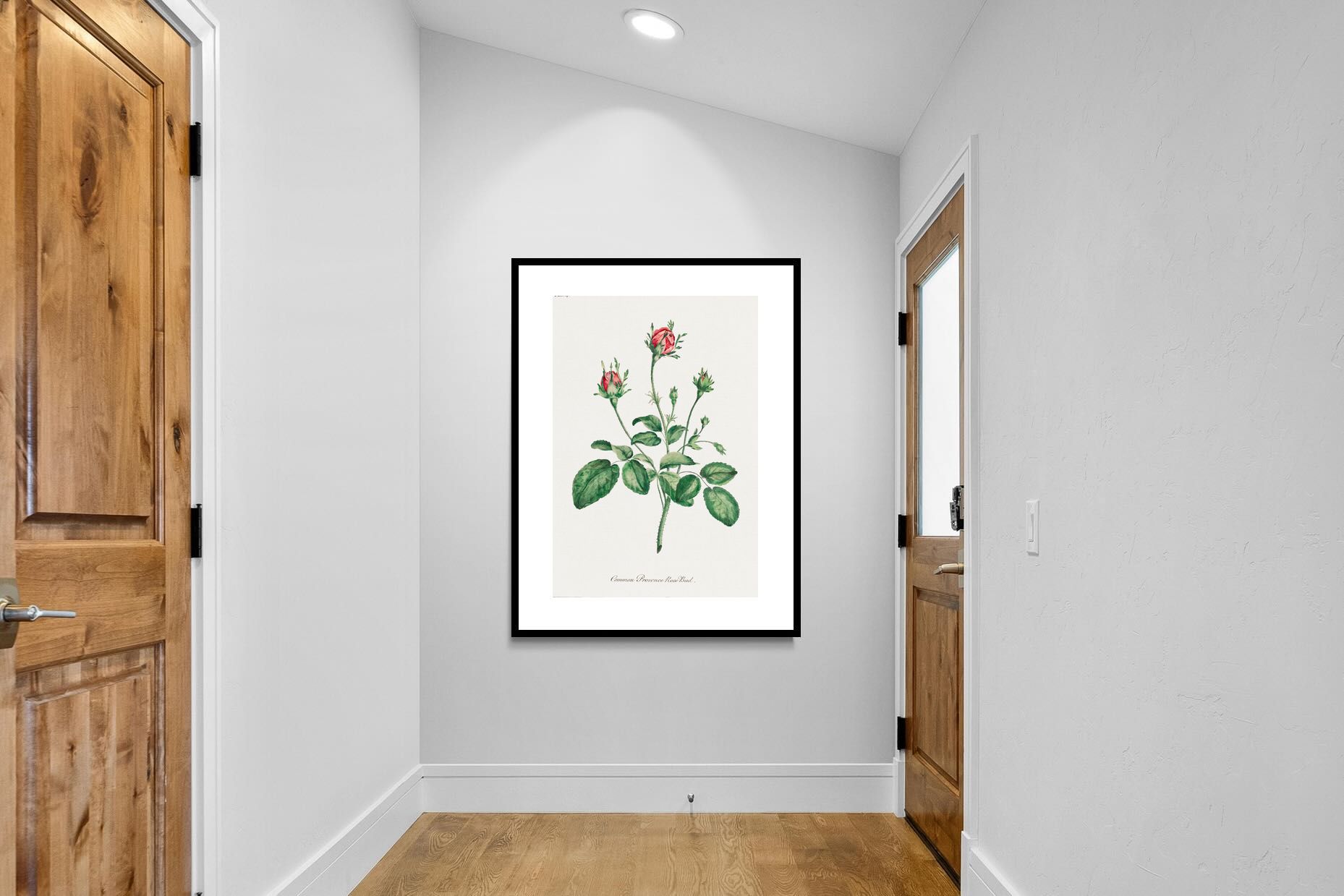 Pixalot Quiet Provence