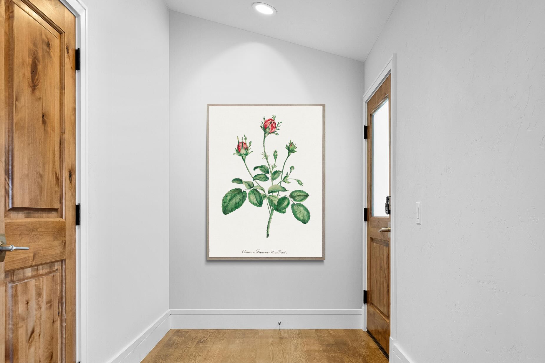 Pixalot Quiet Provence