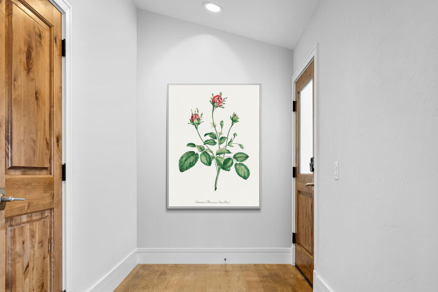 Pixalot Quiet Provence