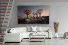 Pixalot Quiver Trees