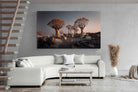 Pixalot Quiver Trees