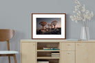 Pixalot ® Quiver Trees