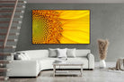 Pixalot ® Radiant Sunflower