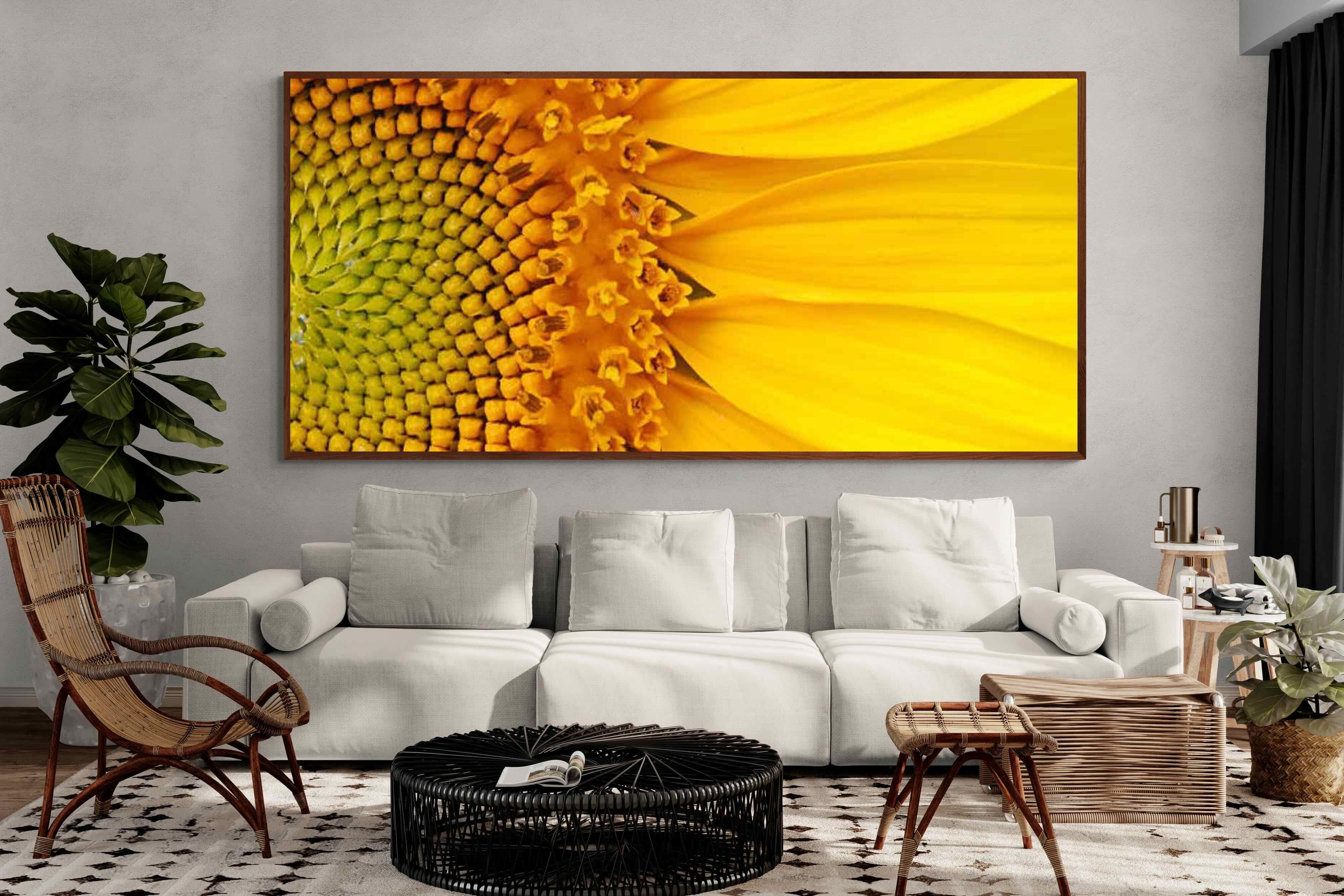 Pixalot ® Radiant Sunflower